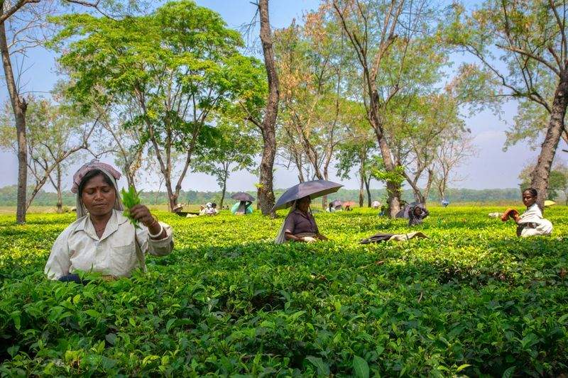 オンラインショップ